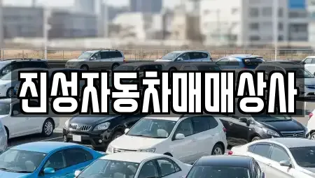 경기도 성남시 중원구 성남동 중고차 전문 진성자동차매매상사