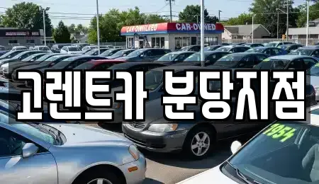 경기도 수원시 팔달구 남창동 렌트카 전문 고렌트카 분당지점