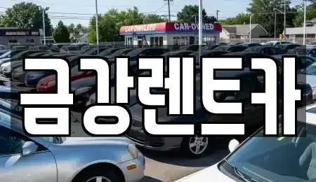 경기도 수원시 팔달구 남창동 렌트카 전문 금강렌트카