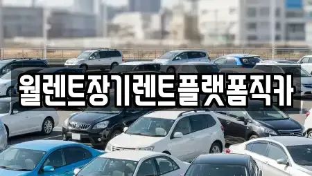 경기도 수원시 팔달구 남창동 장기렌트카 전문 월렌트장기렌트플랫폼직카