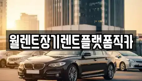 경기도 시흥시 하중동 장기렌트카 전문 월렌트장기렌트플랫폼직카