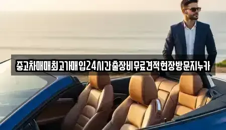 경기도 시흥시 하중동 중고차 전문 중고차매매최고가매입24시간출장비무료견적현장방문지누카