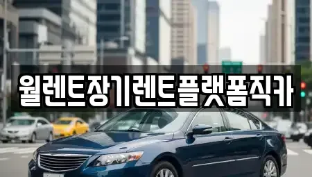 경기도 양주시 남면 렌트카 전문 월렌트장기렌트플랫폼직카