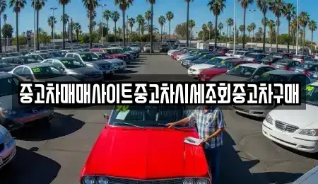 경기도 양주시 남면 중고차 전문 중고차매매사이트중고차시세조회중고차구매