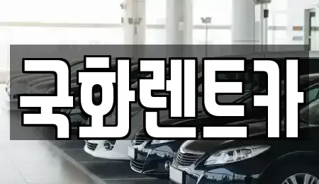 경기도 양주시 렌트카 전문 국화렌트카