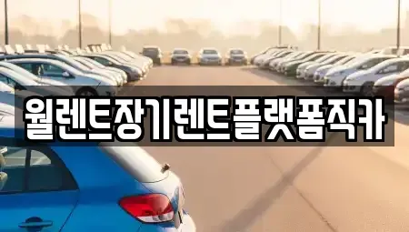 경기도 양주시 장기렌트카 전문 월렌트장기렌트플랫폼직카