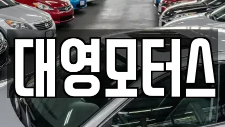 경기도 양주시 중고차매매 전문 대영모터스