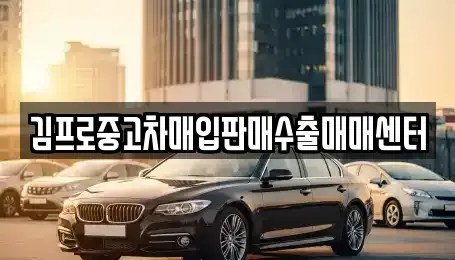 경기도 양주시 중고차매입 전문 김프로중고차매입판매수출매매센터