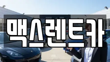 경기도 용인시 수지구 성복동 렌트카 전문 맥스렌트카