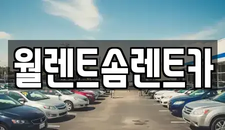 경기도 용인시 수지구 성복동 렌트카 전문 월렌트솜렌트카