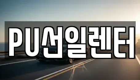 경기도 용인시 수지구 성복동 장기렌트카 전문 PU선일렌터