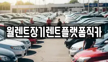 경기도 용인시 수지구 성복동 장기렌트카,중고차,렌트카,단기렌트카,중고차매입,중고차매매