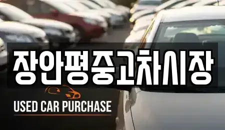 경기도 용인시 수지구 성복동 중고차 전문 장안평중고차시장