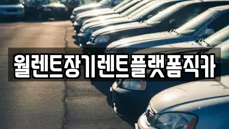 경기도 용인시 처인구 장기렌트카 전문 월렌트장기렌트플랫폼직카