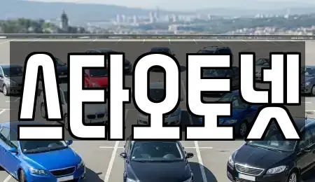 경기도 용인시 처인구 중고차 전문 스타오토넷