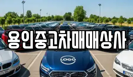 경기도 용인시 처인구 중고차 전문 용인중고차매매상사