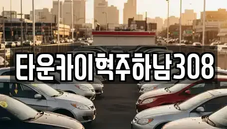 경기도 하남시 망월동 단기렌트카 전문 타운카이혁주하남308