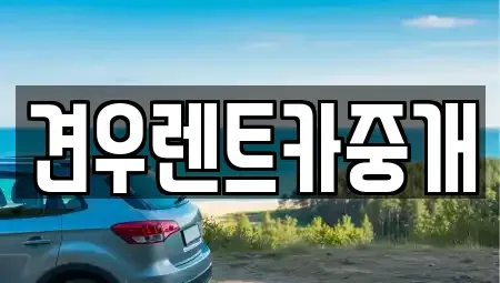 경기도 하남시 망월동 장기렌트카 전문 견우렌트카중개