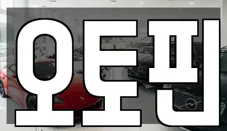 경기도 하남시 망월동 장기렌트카 전문 오토핀