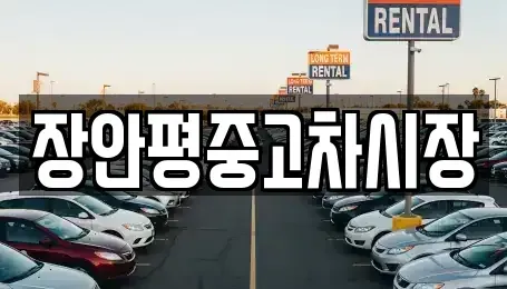 경기도 하남시 망월동 중고차매매,단기렌트카,중고차매입,장기렌트카,중고차,렌트카