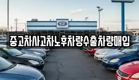 경기도 하남시 망월동 중고차매매 전문 중고차사고차노후차량수출차량매입
