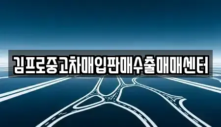 경기도 하남시 망월동 중고차매입 전문 김프로중고차매입판매수출매매센터