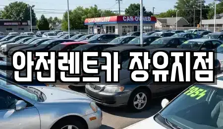 경남 김해시 삼문동 렌트카 전문 안전렌트카 장유지점