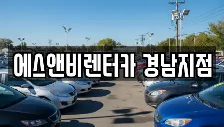 경남 김해시 삼문동 렌트카 전문 에스앤비렌터카 경남지점