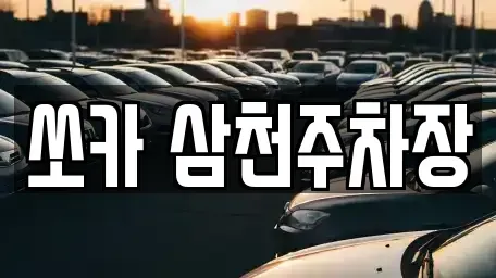 경남 밀양시 활성동 렌트카 전문 쏘카 삼천주차장