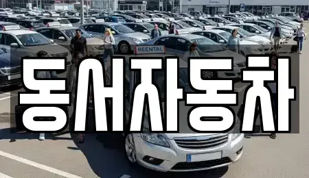 경남 산청군 신등면 중고차 전문 동서자동차