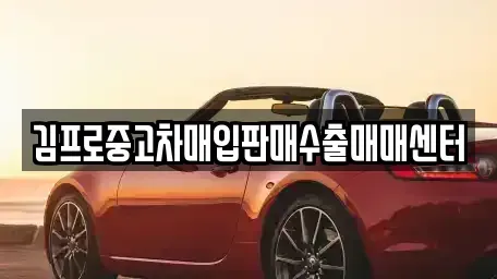 경남 진주시 평안동 중고차 전문 김프로중고차매입판매수출매매센터