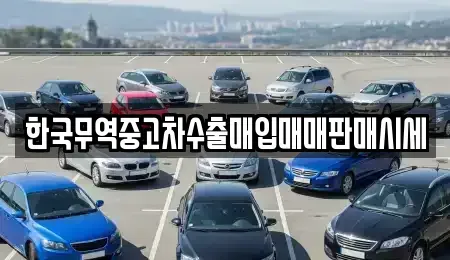 경북 경주시 북부동 중고차 전문 한국무역중고차수출매입매매판매시세