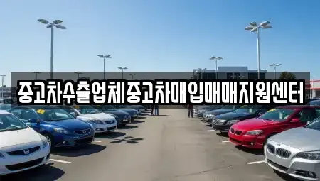 경북 경주시 북부동 중고차매입 전문 중고차수출업체중고차매입매매지원센터