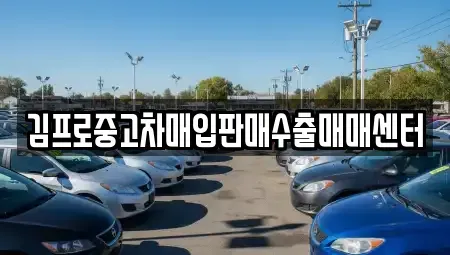 경북 안동시 옥야동 중고차매입 전문 김프로중고차매입판매수출매매센터