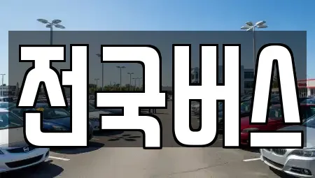 경북 영천시 본촌동 중고차 전문 전국버스