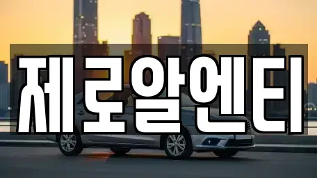 경상남도 창녕군 도천면 렌트카 전문 제로알엔티