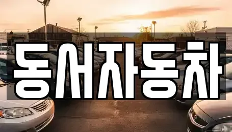 경상남도 창녕군 도천면 중고차 전문 동서자동차