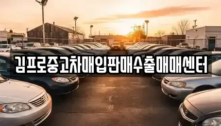 경상북도 구미시 공단동 중고차매입 전문 김프로중고차매입판매수출매매센터