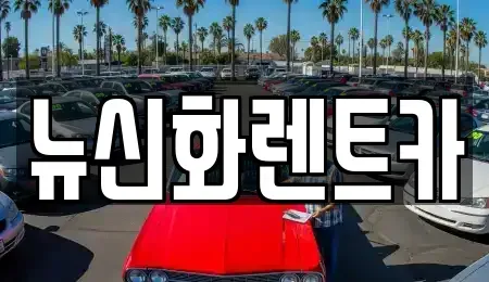 경상북도 구미시 임수동 렌트카 전문 뉴신화렌트카