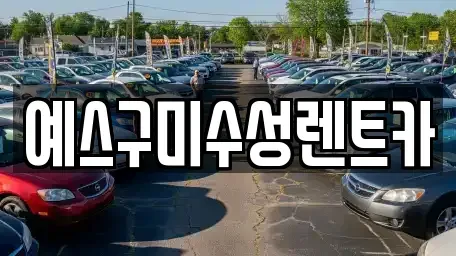 경상북도 구미시 임수동 렌트카 전문 예스구미수성렌트카