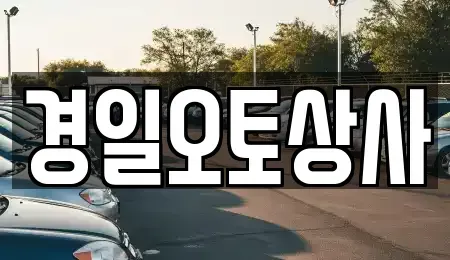 경상북도 구미시 임수동 중고차 전문 경일오토상사