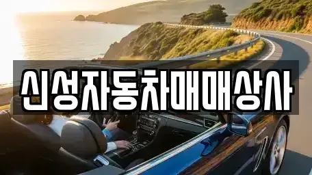 경상북도 김천시 감호동 중고차 전문 신성자동차매매상사