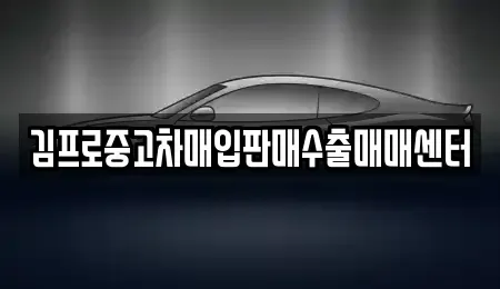 경상북도 김천시 모암동 중고차 전문 김프로중고차매입판매수출매매센터