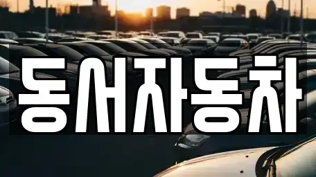 경상북도 김천시 모암동 중고차 전문 동서자동차