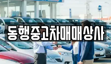 경상북도 안동시 운안동 중고차 전문 동행중고차매매상사
