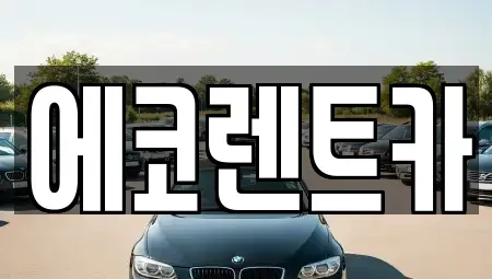 광주 광산구 오선동 렌트카 전문 에코렌트카