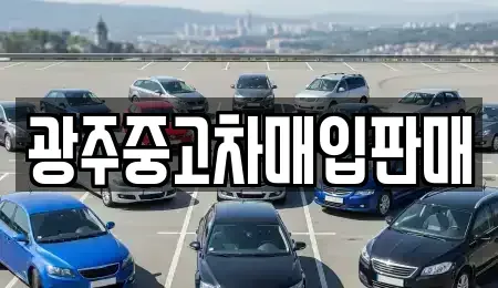 광주 광산구 오선동 중고차 전문 광주중고차매입판매