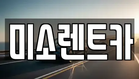 광주 광산구 월전동 렌트카 전문 미소렌트카