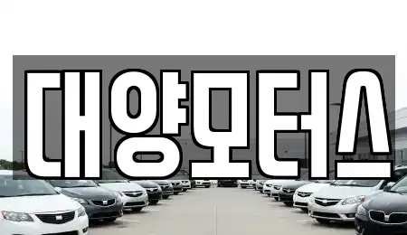 광주 광산구 월전동 중고차 전문 대양모터스