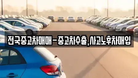 광주 광산구 월전동 중고차매입 전문 전국중고차매매-중고차수출,사고노후차매입
